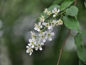 怎样把模糊的照片变清晰