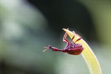 扑克牌视频教程全集高清