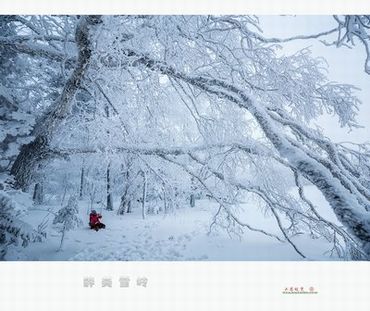 日本无人区码卡免费看