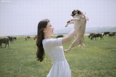 电影《风流草》