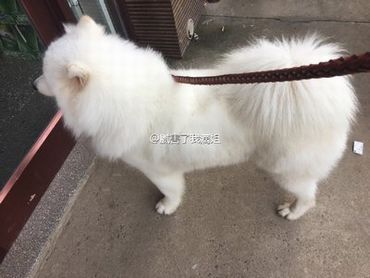 范冰冰李晨现状