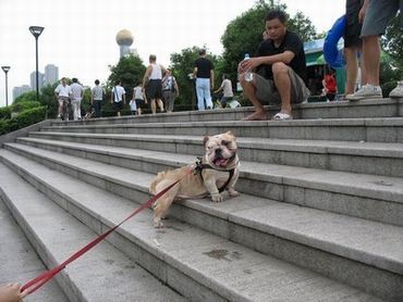 适合夫妻二人的电影