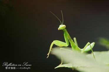 齐人之福白姨免费阅读